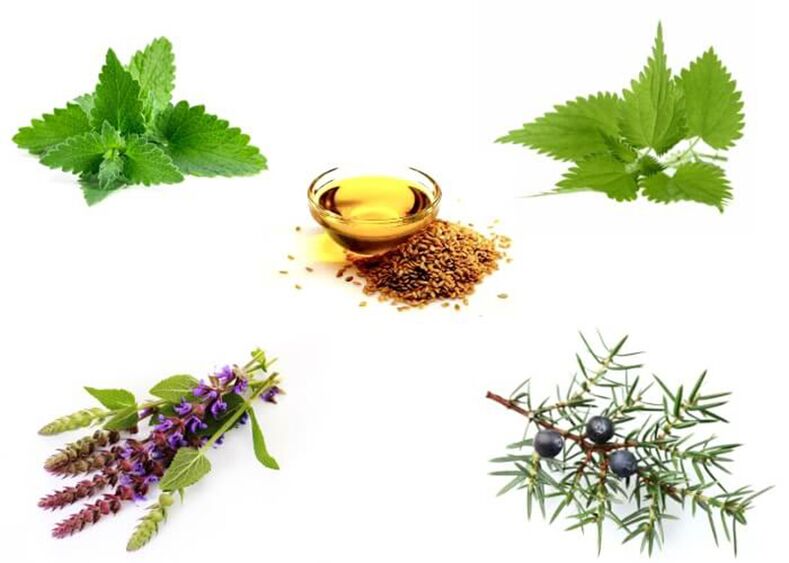 Mint, nettle, thyme, juniper and flaxseed oil