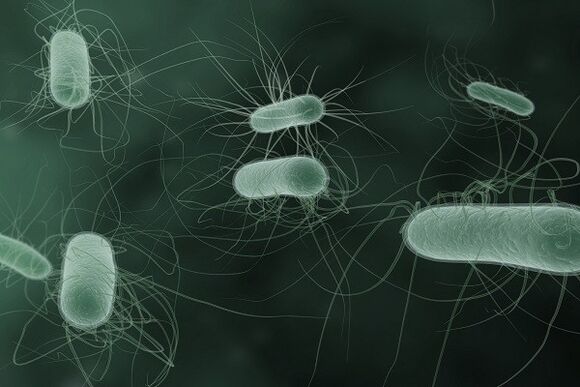 microorganisms that cause pathological release when excited